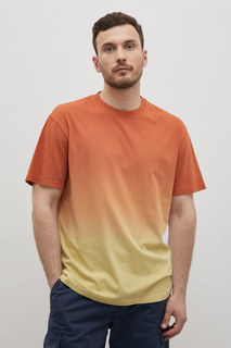 Футболка мужская Finn Flare FSC23050 коричневая M