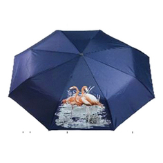 Зонт женский Raindrops 26010019 в ассортименте