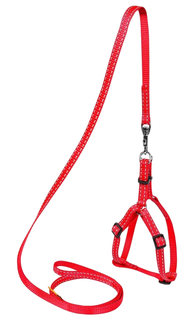 Шлейка с поводком для собак Collar Dog Extremе нейлоновая регулируемая красная 28-40 см