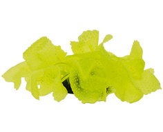 Декор для аквариума Коралл силиконовый Vitality желтый 5,5 х 5,5 х 12 см