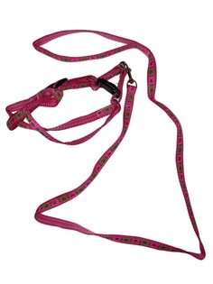 Поводок со шлейкой для кошек и собак, 2 см, цвет: розовый, рисунок: лапы No Brand