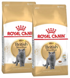 Сухой корм для кошек Royal Canin British Shorthair Adult, для британских, 12 шт по 0,4 кг