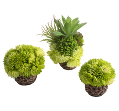Искусственное растения для аквариума BiOrb Coral ball set green зеленые коралловые шары