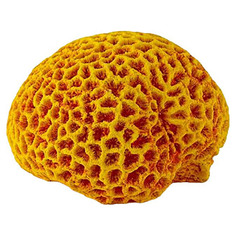 Мозговик для аквариума Grotaqua Кр-2414 17x13x9 см оранжевый