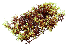 Искусственное растение для аквариума Migliores в виде коврика 23x12x5 см бордовый T524