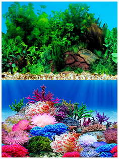 Фон для аквариума Prime Коралловый рай/Подводный пейзаж двухсторонний 60х150 см P.R.I.M.E.
