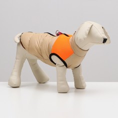 Куртка для собак на молнии, размер 14 (ДС 32 см, ОГ 42 см, ОШ 31 см), бежевая с оранжевым No Brand