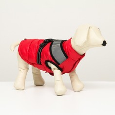 Куртка для собак со светоотражающей шлейкой, размер 12 (ДС 28, ОГ 38, ОШ 27), розовая No Brand