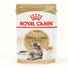 Влажный корм для кошек Royal Canin Maine Coon соус, 24 шт по 85 г