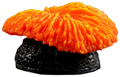 Декор для аквариума коралл Пильчатый гриб, силиконовый, 5 х 2,5 см, оранжевый No Brand