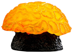 Декор для аквариума коралл Faviidae, 5 х 2,5 см, силиконовый, оранжевый No Brand