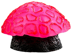Декор для аквариума коралл Faviidae, 5 х 2,5 см, силиконовый, розовый No Brand