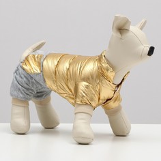 Комбинезон для собак Комбинезон Космонавт, размер 10, золотой No Brand