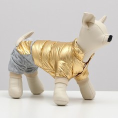 Комбинезон для собак Комбинезон Космонавт, размер 18, золотой No Brand