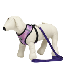 Пижон Комплект для собак 5-8 кг, M, шлейка ОШ 30 см, ОГ 39 см, поводок 1,2 м х 1,5 см