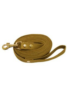 Поводок Зоотехнология-м 00662 брезентовый, 3 м