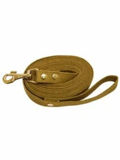 Поводок Зоотехнология-м 00679 брезентовый, 5 м