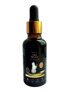 Конопляное масло Pet Benefit cbd для кошек с куркумином, 30 мл