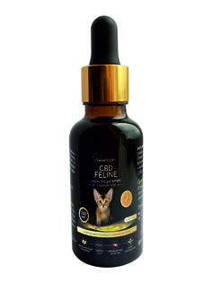 Конопляное масло Pet Benefit cbd для котят с куркумином, 30 мл