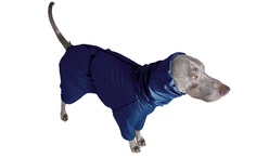 Дождевик - комбинезон для собак средних и крупных пород Монморанси, цвет синий,черный, Д5
