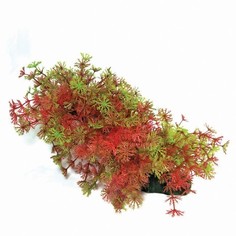Искусственное растение для аквариума Ripoma, разноцветный 25х8.5х12 см