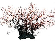 Декор искусственный для аквариума Ripoma Коралл 00116704, 15х28 см