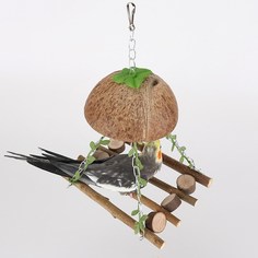Качели для птиц Bentfores, деревянные, с крышей-кокосом, 32 х 20 х 16 см