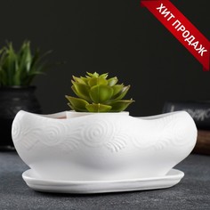 Цветочный горшок Хорошие сувениры Бонсай малый Р00013442 0,6 л белый 1 шт.