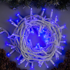 Световая гирлянда новогодняя Luazon Lighting нить 3584098 10 м синий