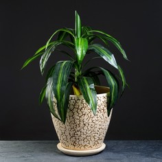 Цветочный горшок Антей №1 20 л бежевый 1 шт. No Brand