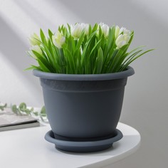 Цветочный горшок InGreen с поддоном aphrodite 1,5 л серый 1 шт.