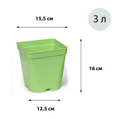 Горшок для рассады, 3 л, 16 ? 16 ? 16 см, салатовый, Greengo