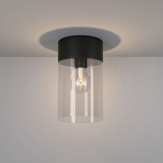 Уличный светильник Elektrostandard Atrani 35085/F потолочный черный IP43 E27