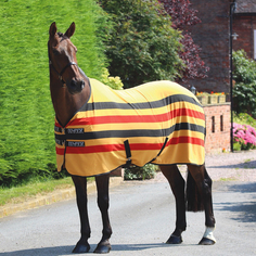 Попона флисовая для лошади SHIRES Original Newmarket, жёлтый/чёрный/красный, 135