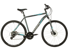 Дорожный велосипед Stinger Campus STD 28, год 2021, цвет Серебристый, ростовка 20.5