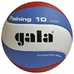 Мяч волейбольный GALA 10 TRAINING BV5561S