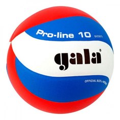 Мяч волейбольный Gala Pro-Line 10, размер 5, арт.BV5581S