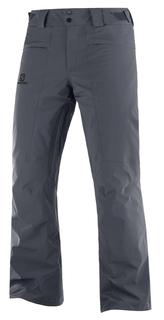 Спортивные брюки Salomon Brilliant Pant M ebony, L INT