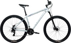 Велосипед WELT Raven 1.0 HD 29 -23г. (18" / светло-серый )