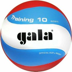Мяч волейбольный GALA Training 10 арт. BV5561S, р. 5, синт. кожа ПУ, клееный, бут. кам, б
