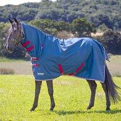 SHIRES SHIRES TEMPEST Попона прогулочная для лошади с капором Original Lite, 600D, 0g, 1