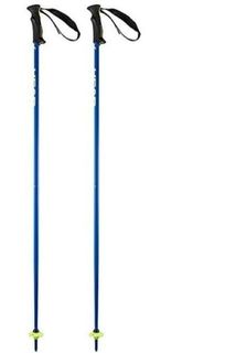 Горнолыжные палки Head Classic Neon Blue (115)