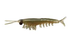 Приманка мягкая Nikko Dappy Okiami Shrimp L 58мм #Fathom Green