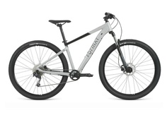 Горный велосипед Format 1411 29 (2023) серый L