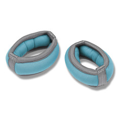 Утяжелители INDIGO SM-256 0,2кг LtB