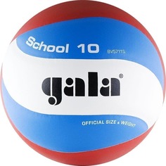 Gala SCHOOL 10 Мяч волейбольный 5