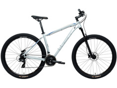 Горный велосипед Welt Raven 1.0 HD 29, год 2023, цвет Серебристый, ростовка 18