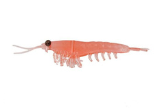 Приманка Nikko Okiami Shrimp L 58мм #Angry Orange