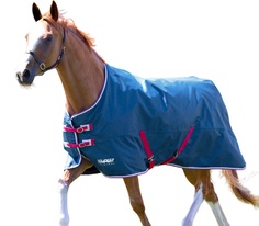 SHIRES SHIRES TEMPEST Попона прогулочная для лошади Original Lite, 600D, 0g, 150, чирок