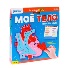 Опыты и исследования Эврики Мое тело, сердце, в коробке, от трех лет
